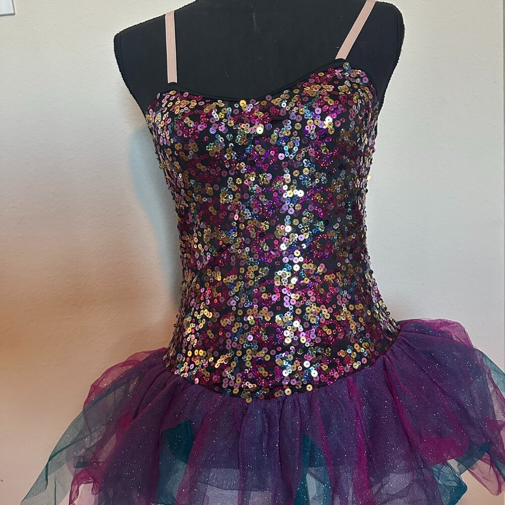 Weissman Sparkly Sequin Costume